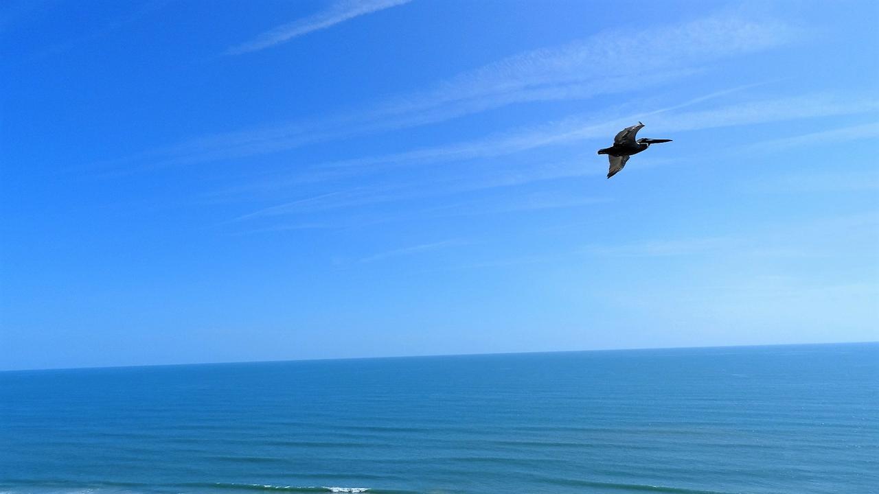 דייטונה ביץ' Penthouse Floor 1 Bedroom Resort Condo Direct Oceanfront Wyndham Ocean Walk - Daytona Funland 1908 מראה חיצוני תמונה